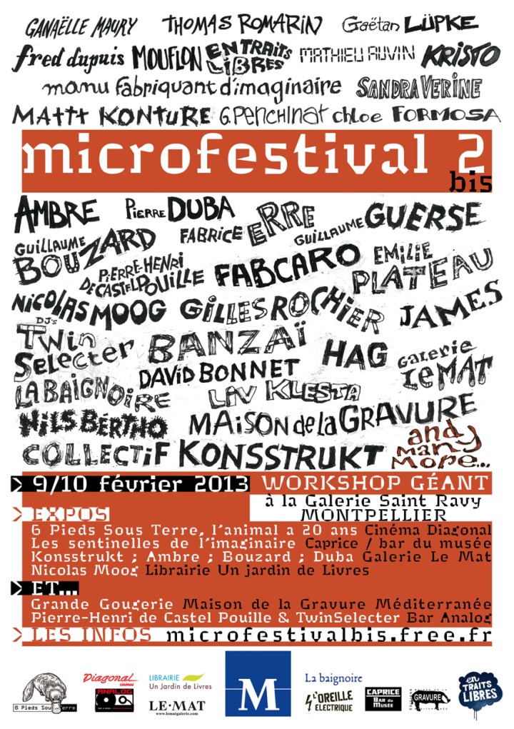 microfestival_fly_A6.indd